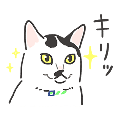 Cat Cafe Miysis Sticker2