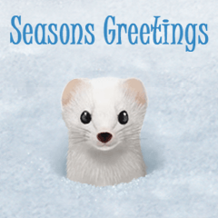 Winter wishes cards