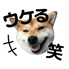 sachi_20181226163933