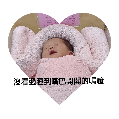 我的女鵝