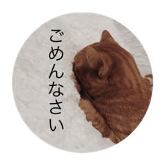 mayu_20181227165722