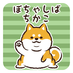 ぽちゃしば ちかこ Line スタンプ Line Store