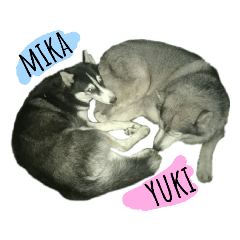 Mika & Yuki 2