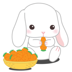 cute lop eared rabbit "Poteusa Loppy"