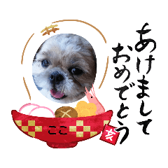 CHRIS_20181227102157