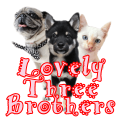 Lovely Three Brothers