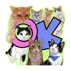 Lovery cats stickers