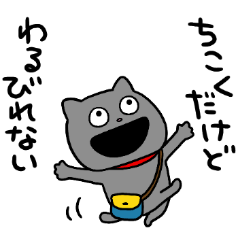 わるめのねこの1日