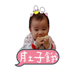 用我們這家5個寶貝