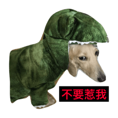 嚕咪醬燒雞腿飯