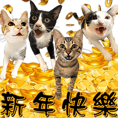 Lucky cats are coming ! Happy New Year !