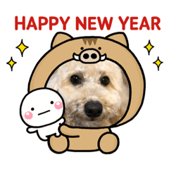 yukari_20181224095111