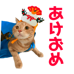 Chiffon's New Year stickers.
