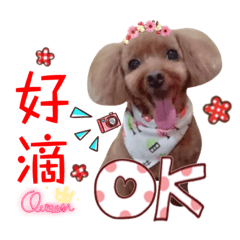 小波日記-無辜篇