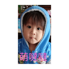 包子dd成長誌