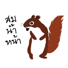 Sassy Little Squirrels