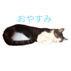 kanako_20181227191456