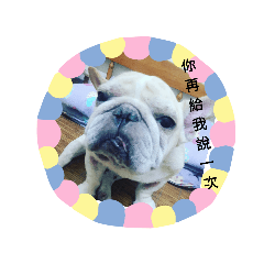 呂阿肥ㄦ