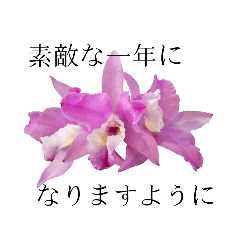 botanical life_2019/1