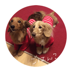 Marina_20181225014246