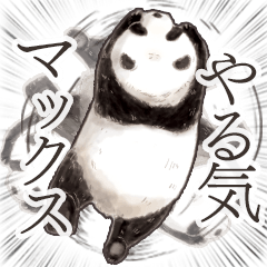 Panda : otonano-zukan