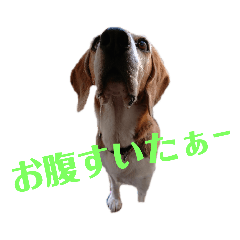 suzu_20181222110350