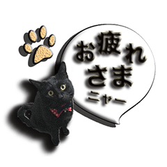 My name is Kuroda, Black Cat