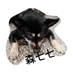 黃阿久的彩色人生❗❗