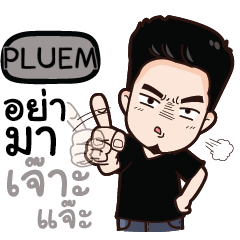 PLUEM any problem? e