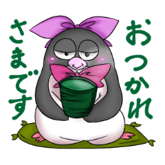 A thick lady penguin Mako