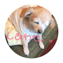 yukko_20181225125910