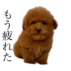 むーむーのほにゃほにゃスタンプ2 Line スタンプ Line Store むーむーのほにゃほにゃスタンプ2 Line スタンプ Line Store