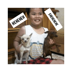 Jessie_20181225190754
