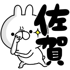 tanuchan Saga rabbit2