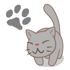 Grey Cat Jiung