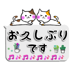 猫たちの敬語で連絡スタンプ Line スタンプ Line Store