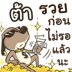 Name Ta (Cute Dog)