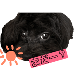 kuu_20181228155627
