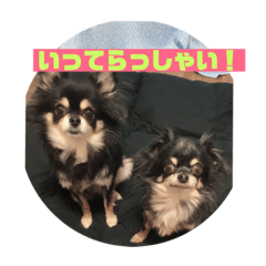 dai_20181228043337