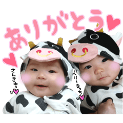 marina_20181228155800