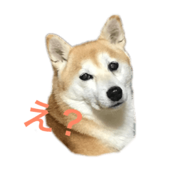 natsumi_20181224163414