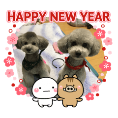 megumi_20181228233804