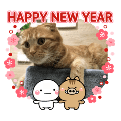 mayu_20181228155509