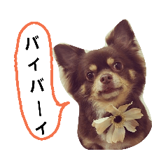 JUNKO_20181229203349