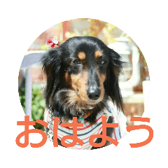 AKIKO_20181229153027