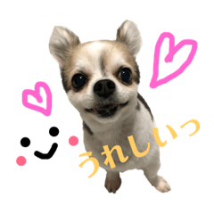 CHERRY_20181227011534