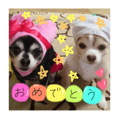moco_201812291543