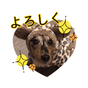 cyaki6660_20181229162200