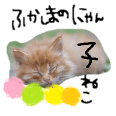 fukashima's kitten Sticker