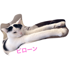 junko_20181229213651